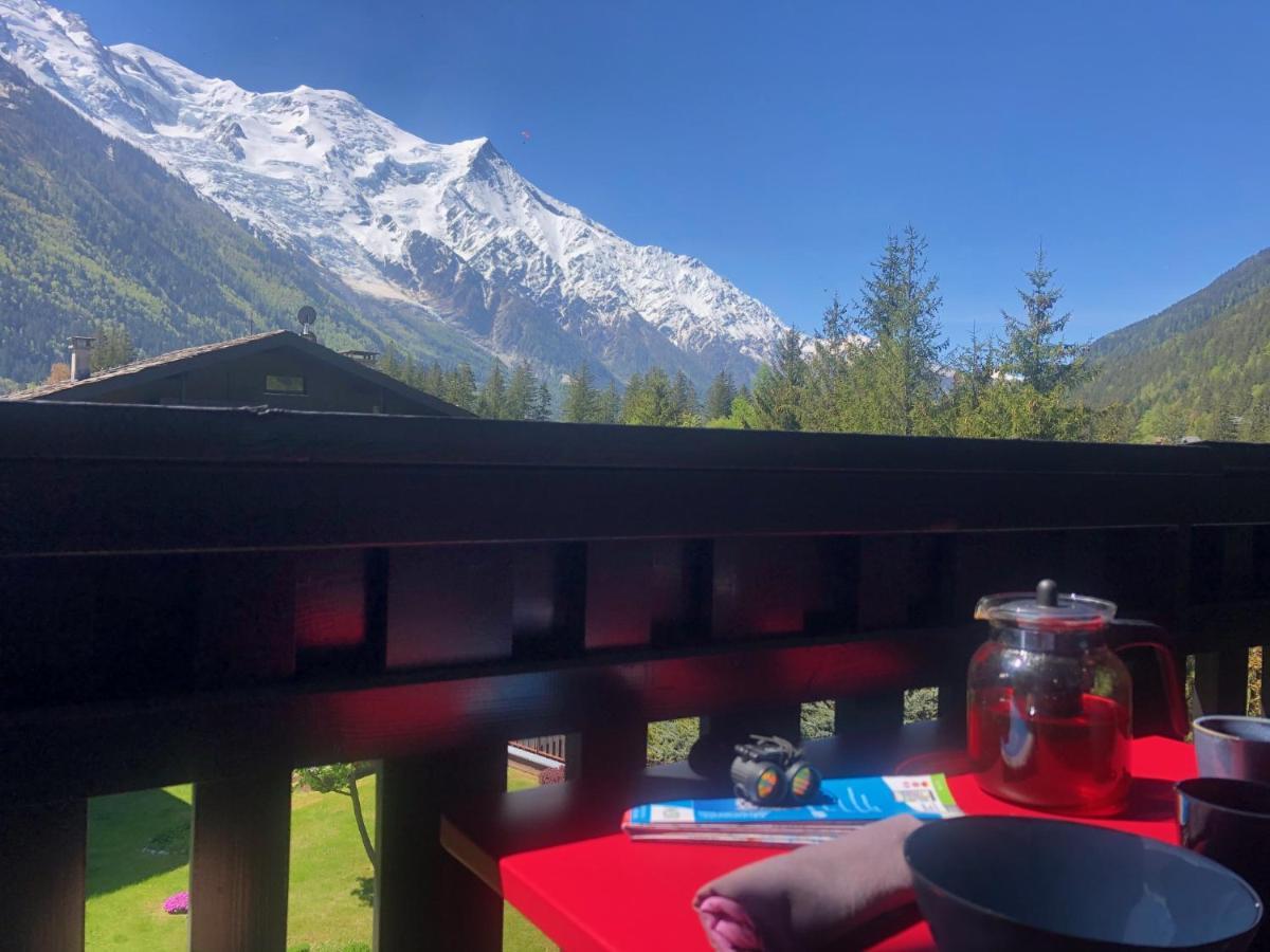 Chamonix Superbe Appartement Vue Mont Blanc Εξωτερικό φωτογραφία